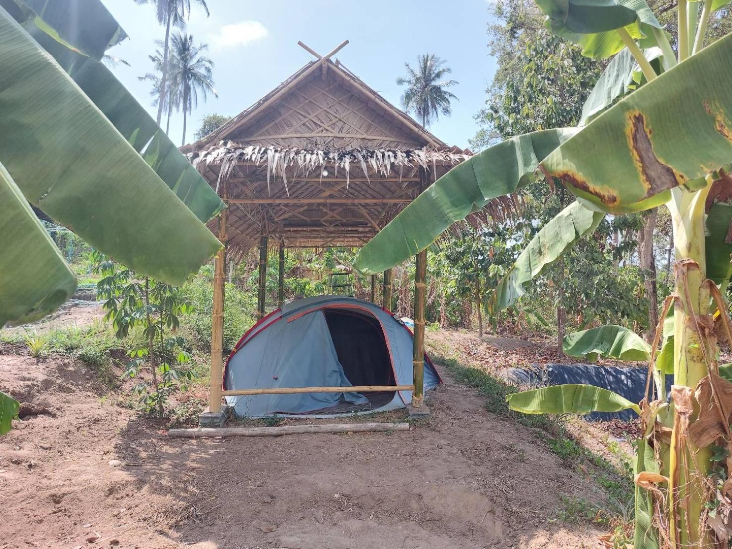 Samui Camping Farm 호텔 Laem Sor 객실 사진