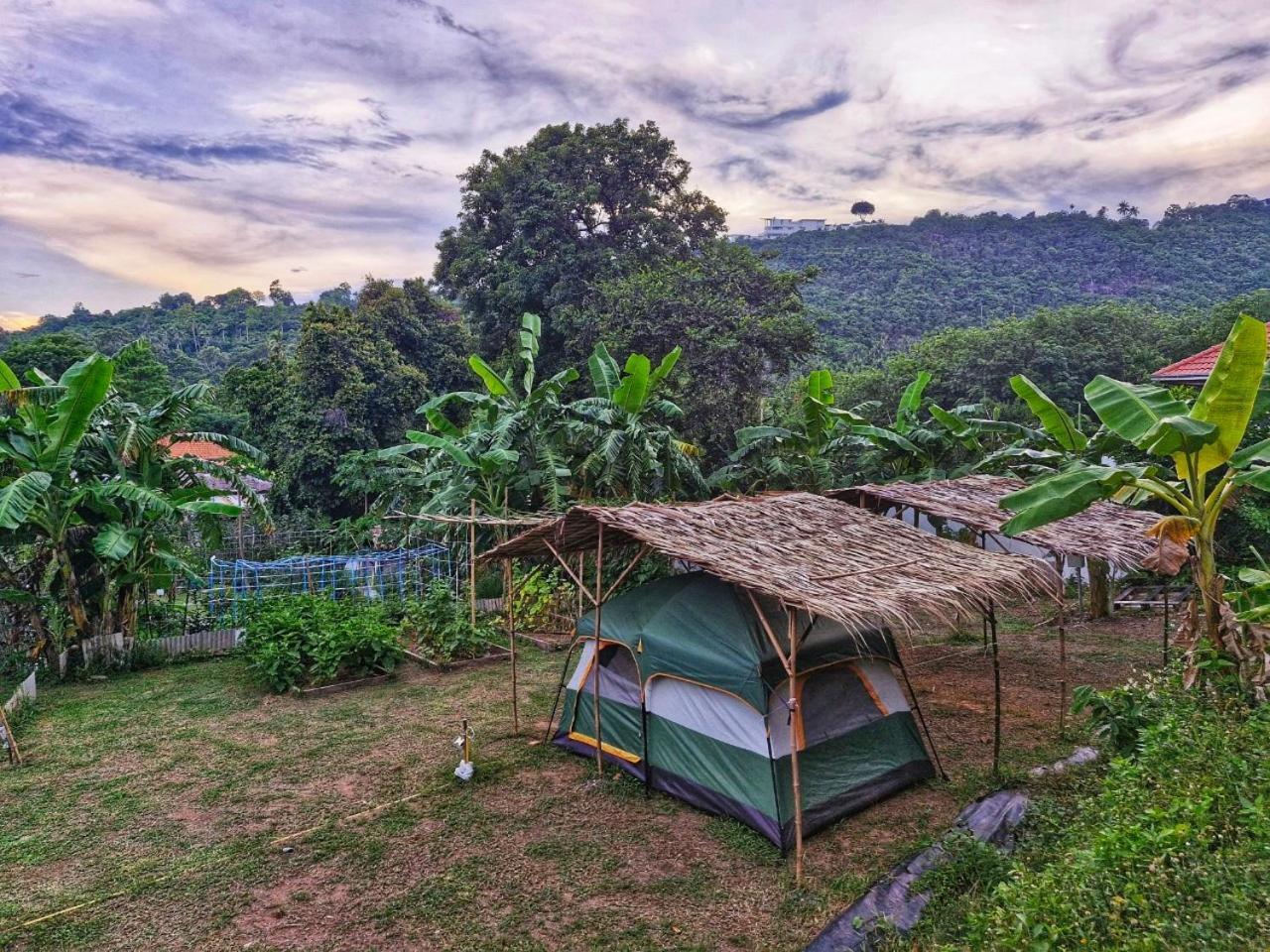 Samui Camping Farm 호텔 Laem Sor 외부 사진